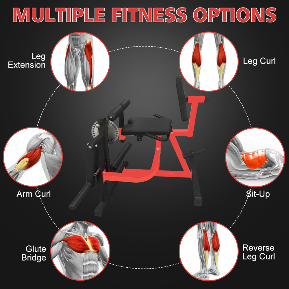 Тренажер для разгибания и сгиб – обзор и цена Home Gym Leg Extension Machine