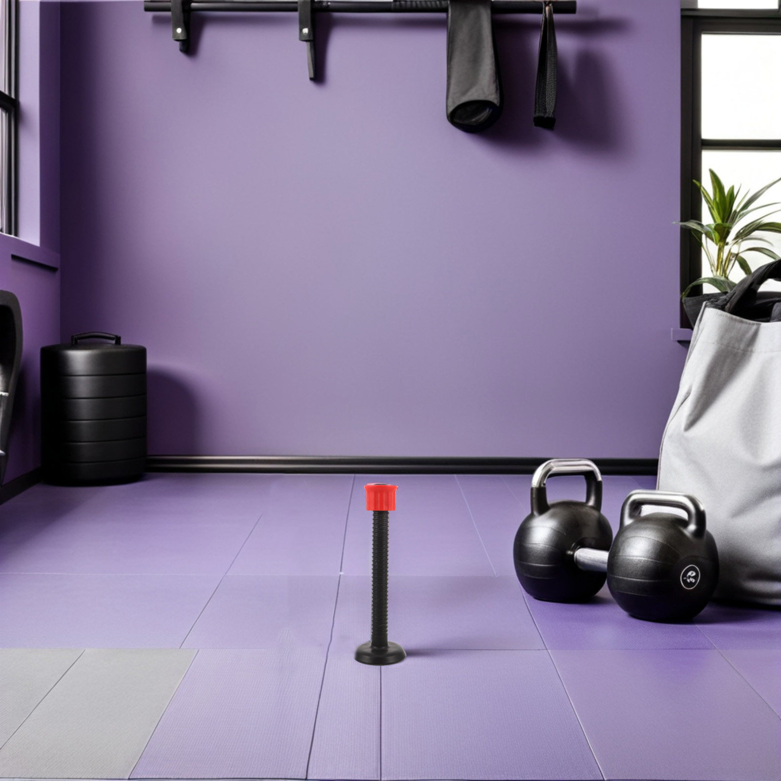 Пластиковые опорные штанги для – обзор и цена Home Gym Dumbbells