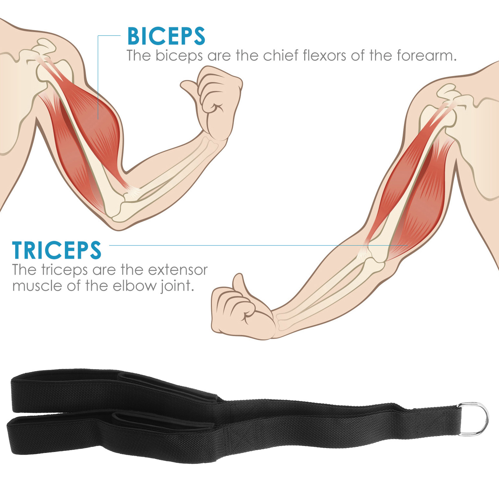 Трос для тяги на трицепс с дво – обзор и цена Home Gym Hammer Strength